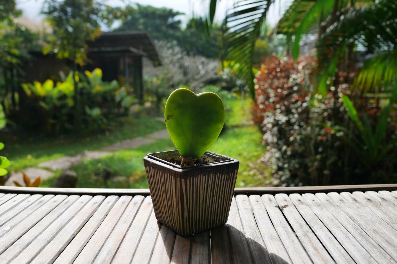 Love Pai Home Exteriér fotografie